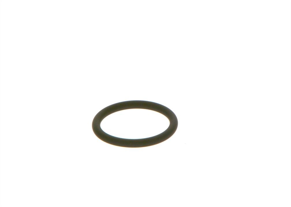 Adjustment Ring, differential Bosch F 00R J00 534