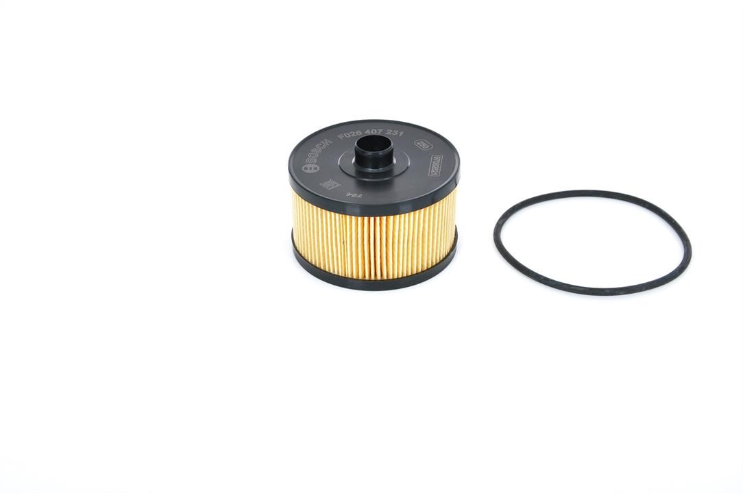 Oil Filter Bosch F 026 407 231