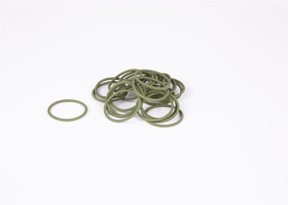 Adjustment Ring, differential Bosch F 00R J00 222