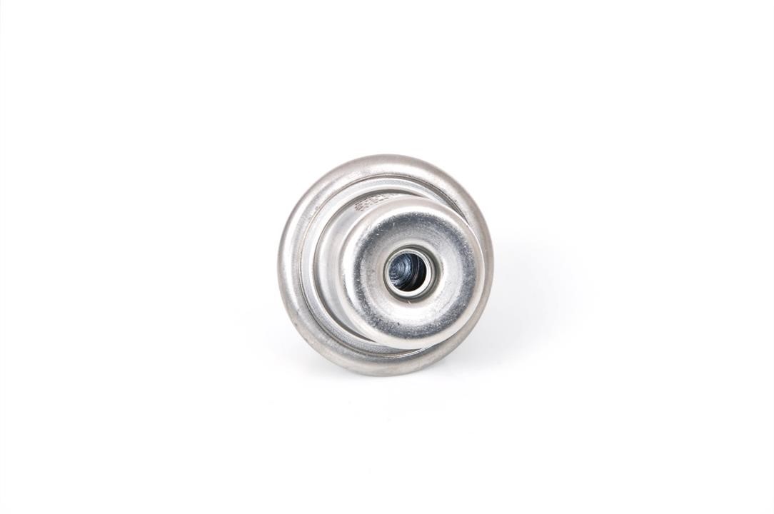 Fuel pulsation damper Bosch 0 280 160 615