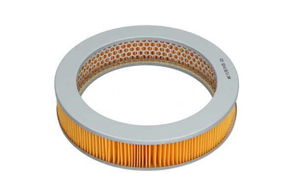 Buy AMC Filters FA-051 at a low price in United Arab Emirates!