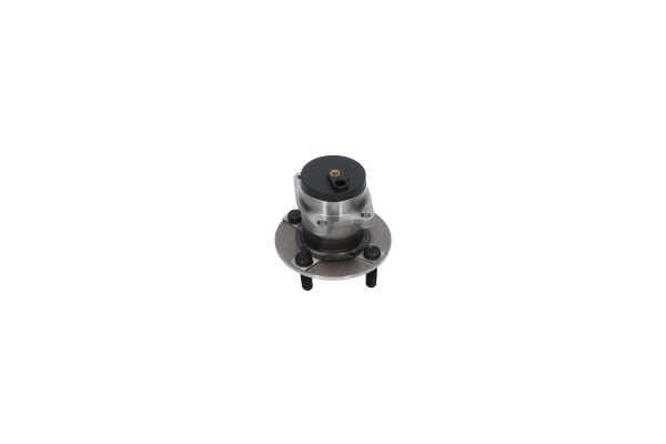 Buy Kavo parts WBH5543 – good price at EXIST.AE!