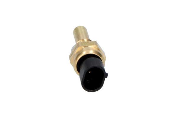 Buy Kavo parts ECT1004 – good price at EXIST.AE!