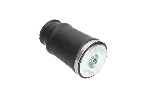 Buy Kavo parts SAS10017 – good price at EXIST.AE!