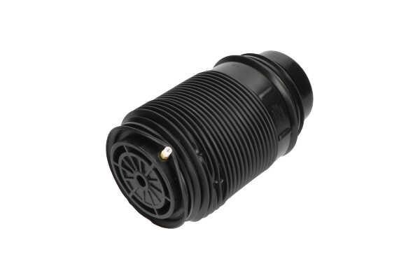Buy Kavo parts SAS10019 – good price at EXIST.AE!