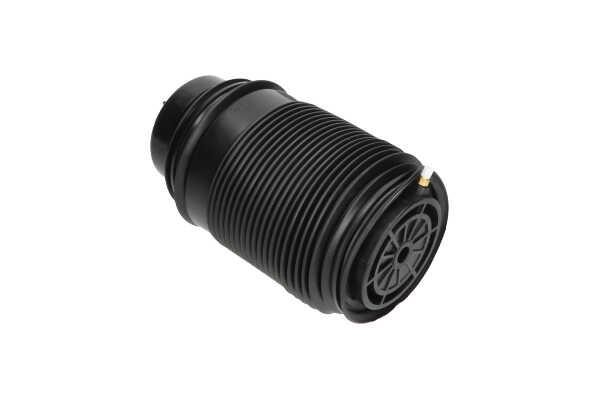 Buy Kavo parts SAS-10019 at a low price in United Arab Emirates!