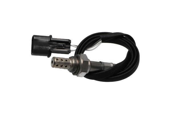 Buy Kavo parts EOS-3003 at a low price in United Arab Emirates!