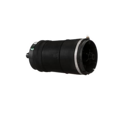 Air Spring, suspension Arnott A-3027