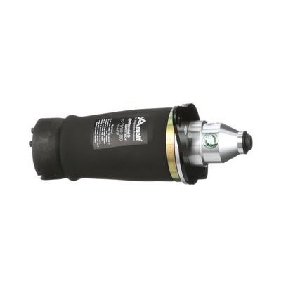 Air Spring, suspension Arnott A-2133