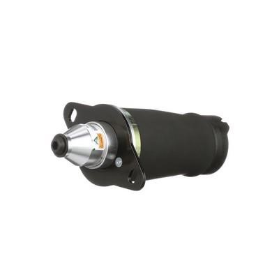 Air Spring, suspension Arnott A-2133