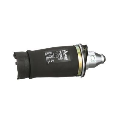 Arnott Air Spring, suspension – price 844 PLN