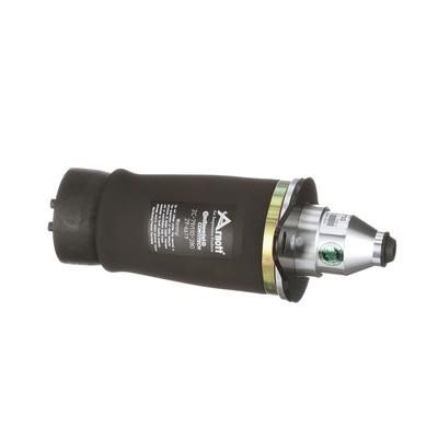 Air Spring, suspension Arnott A-2133