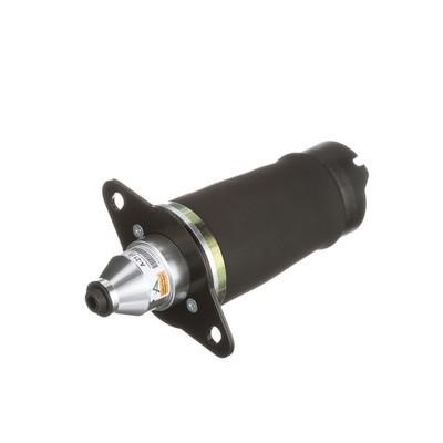 Air Spring, suspension Arnott A-2133