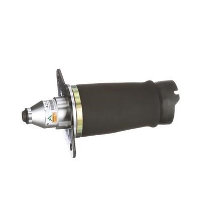 Arnott Air Spring, suspension – price 844 PLN