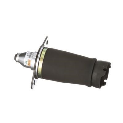 Air Spring, suspension Arnott A-2133