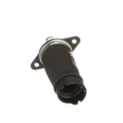Air Spring, suspension Arnott A-2133
