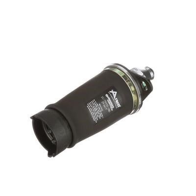Air Spring, suspension Arnott A-2133
