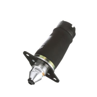 Air Spring, suspension Arnott A-2133