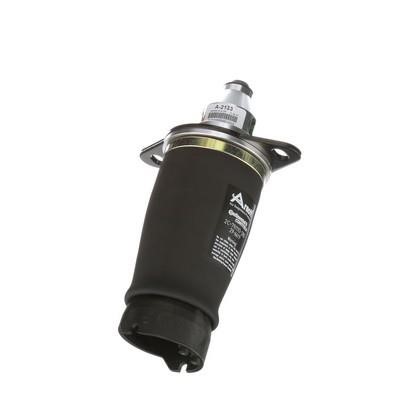 Buy Arnott A2133 – good price at EXIST.AE!