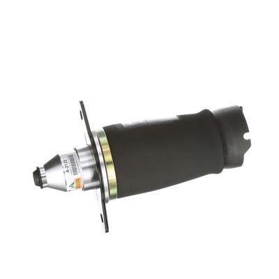 Arnott Air Spring, suspension – price 844 PLN