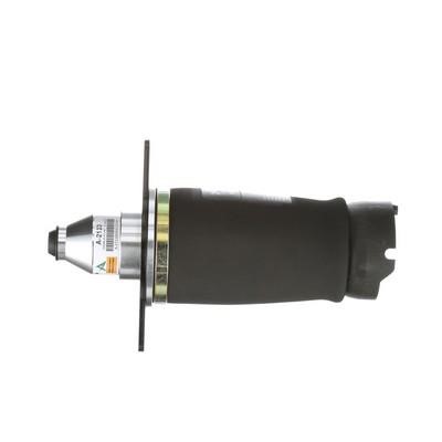 Air Spring, suspension Arnott A-2133