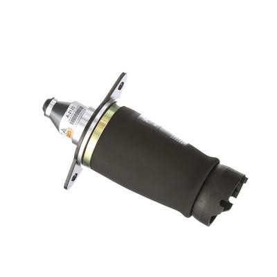 Air Spring, suspension Arnott A-2133