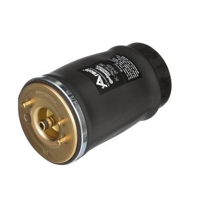 Air bag Arnott A-2502