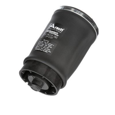 Buy Arnott A2502 – good price at EXIST.AE!