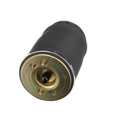 Arnott Air spring – price 502 PLN