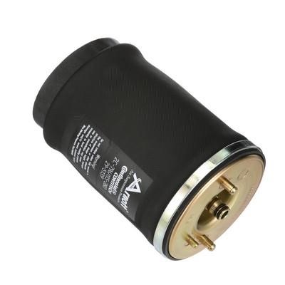 Arnott Air spring – price 500 PLN
