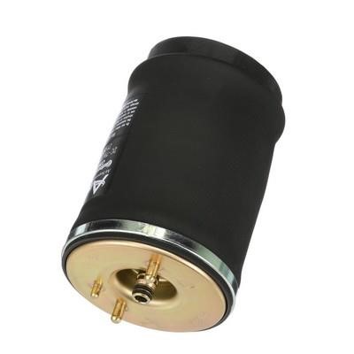Arnott Air spring – price 500 PLN