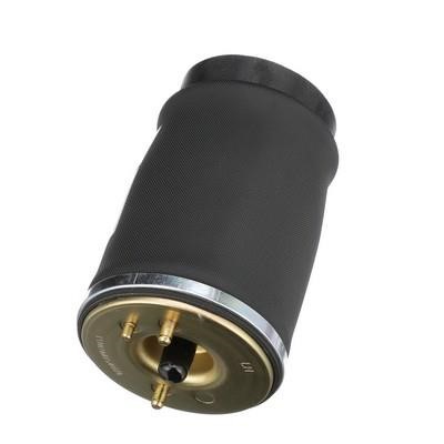 Arnott Air spring – price 502 PLN