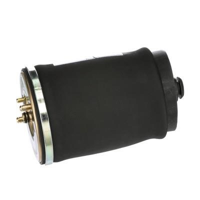 Arnott Air spring – price 500 PLN