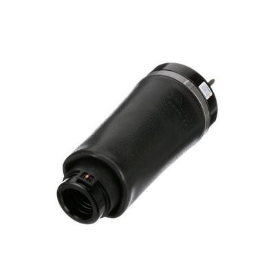 Air Spring, suspension Arnott A-2587