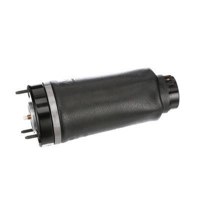 Arnott Air Spring, suspension – price 1715 PLN