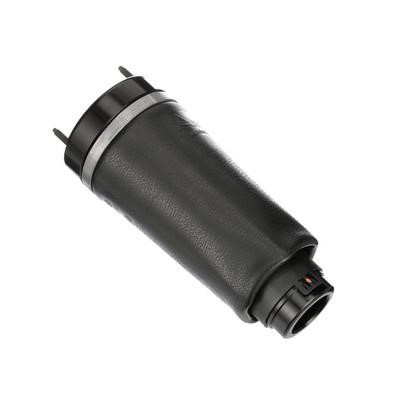 Arnott Air Spring, suspension – price 1715 PLN