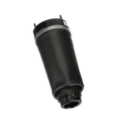 Air Spring, suspension Arnott A-2587