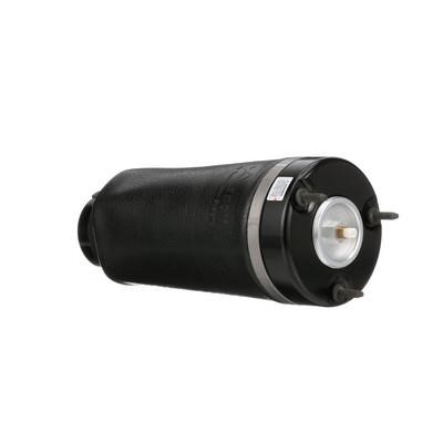 Arnott Air Spring, suspension – price 1715 PLN