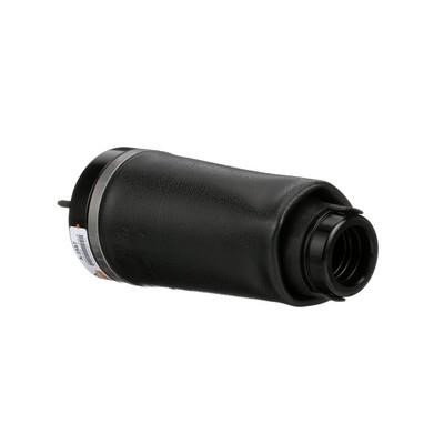 Arnott Air Spring, suspension – price 1715 PLN