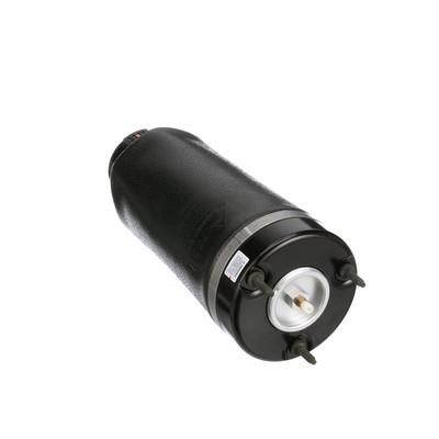 Air Spring, suspension Arnott A-2587
