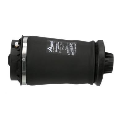 Buy Arnott A2596 – good price at EXIST.AE!