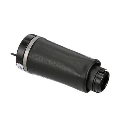 Arnott Air Spring, suspension – price 1715 PLN