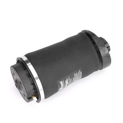 Arnott Air spring – price 829 PLN