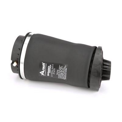 Arnott Air spring – price 829 PLN