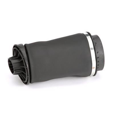 Arnott Air spring – price 829 PLN