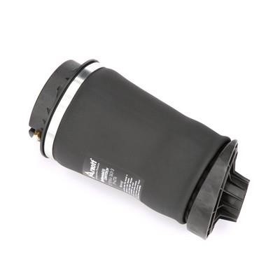 Arnott Air spring – price 829 PLN