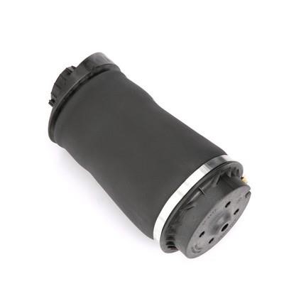 Arnott Air spring – price 829 PLN