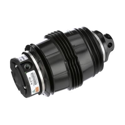 Arnott Air Spring, suspension – price 1945 PLN
