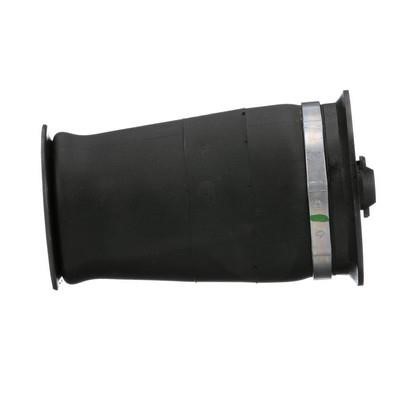Cushion Arnott A-2755