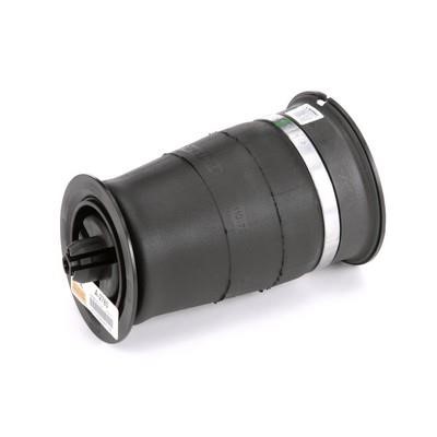 Arnott Suspension air spring rear – price 830 PLN